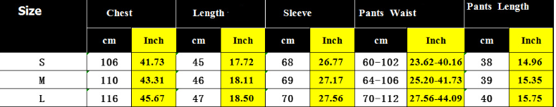 Women Clothing Fashionable Stylish Slim Fit Long Sleeved Solid Color Shorts Two Piece Sets Women