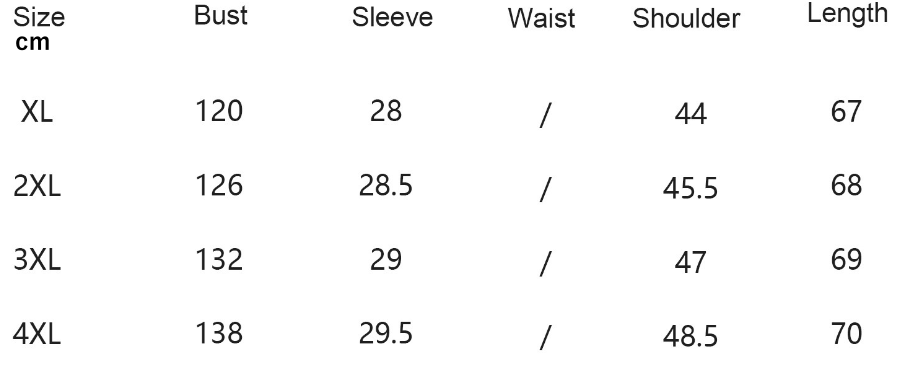 Plus Size Loose Fitting Casual T shirt Women V neck Short Sleeve Office Top