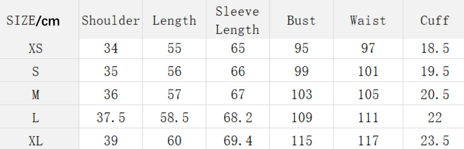 Long Sleeved Satin Shirt Women Spring Autumn Lantern Sleeve Satin Shirt Top