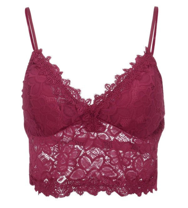 Sexy Goddess Hazy Sexy Charming Hollow Out Cutout Lace Thin Strap Triangle Cup Bra Wireless Backless Women Underwear
