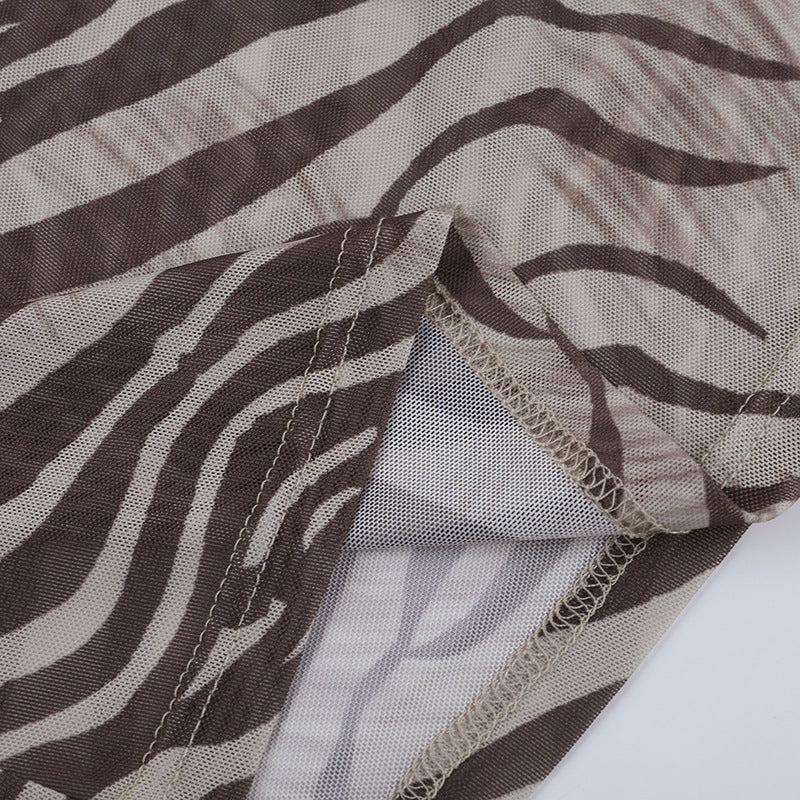 Zebra Print Long-Sleeved Top Women Autumn Sexy See through Sexy Leopard Print T shirt