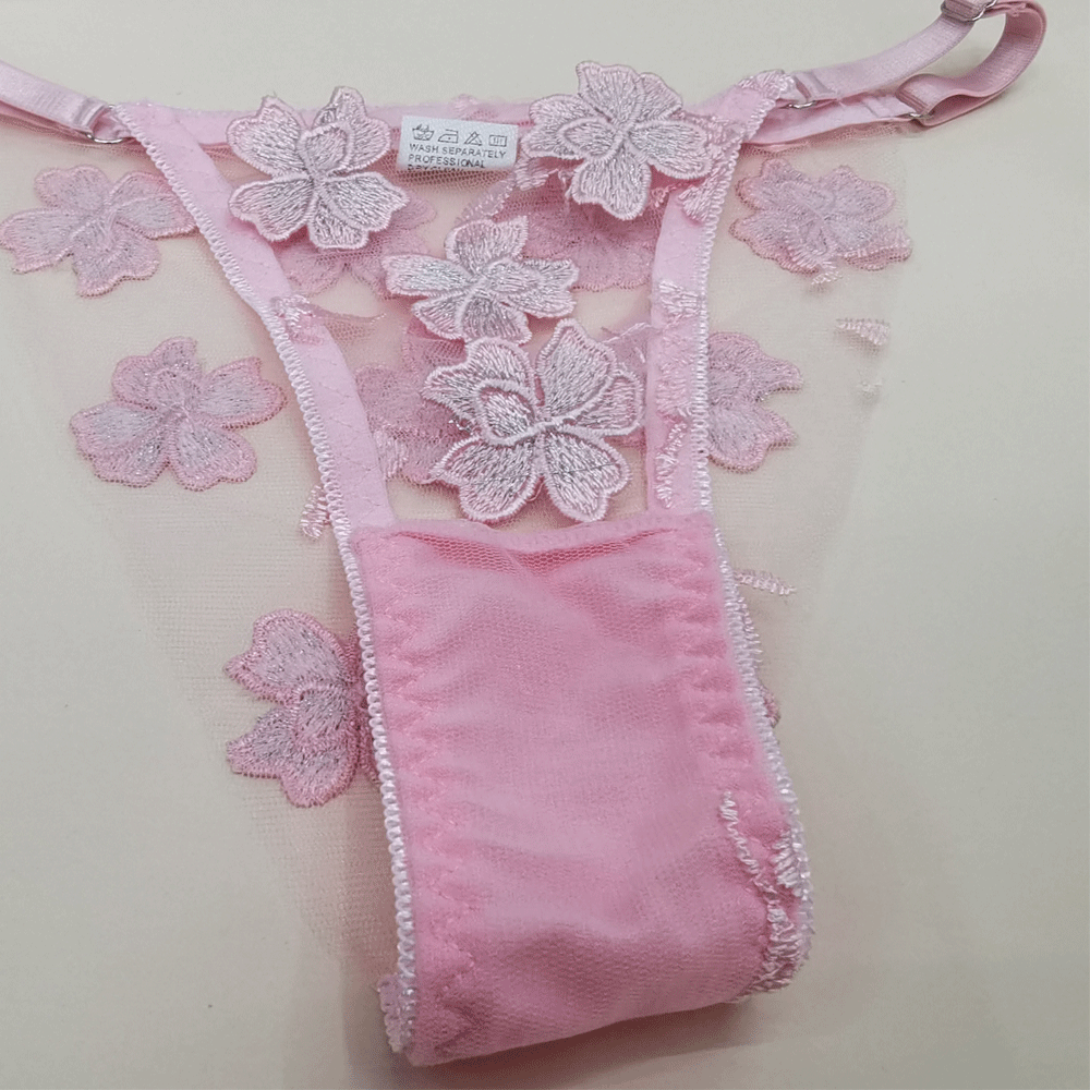 New Sexy Transparent Embroidered Printed Underwear Sexy Suit Two-Piece Set